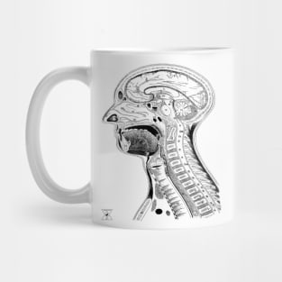 Human Head Anatomy | Medical Science Phsyiology Mug